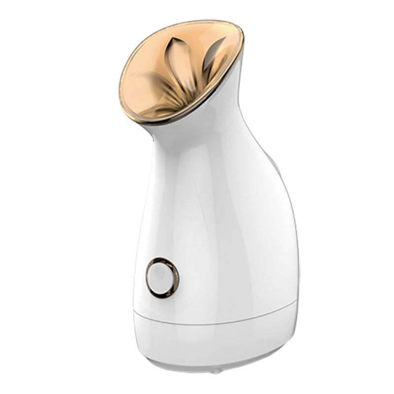 Vapeur Faciale Nano-Ionique – Hydratation Profonde & Soin Spa à Domicile 🌸✨ Yiwu Ruijia Auto Supplies Co., Ltd.