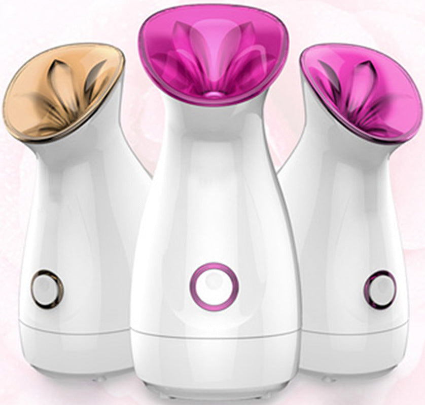Vapeur Faciale Nano-Ionique – Hydratation Profonde & Soin Spa à Domicile 🌸✨ Yiwu Ruijia Auto Supplies Co., Ltd.