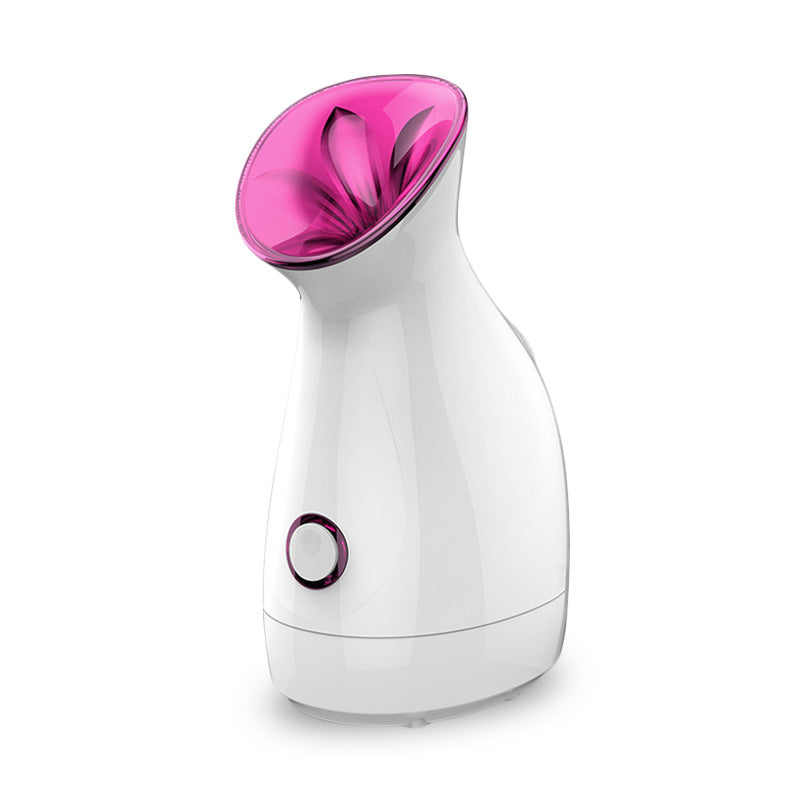 Vapeur Faciale Nano-Ionique – Hydratation Profonde & Soin Spa à Domicile 🌸✨ Yiwu Ruijia Auto Supplies Co., Ltd.