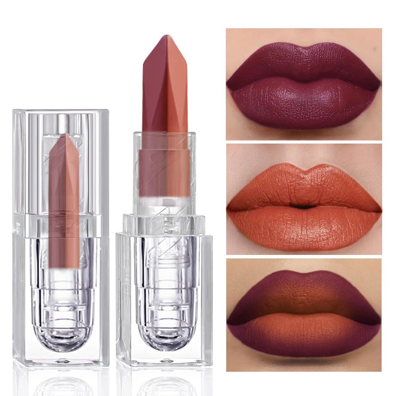 Rouge à Lèvres Longue Tenue – 5 Teintes Tendance, Effet Naturel 3D 💄✨ Yiwu Ruijia Auto Supplies Co., Ltd.